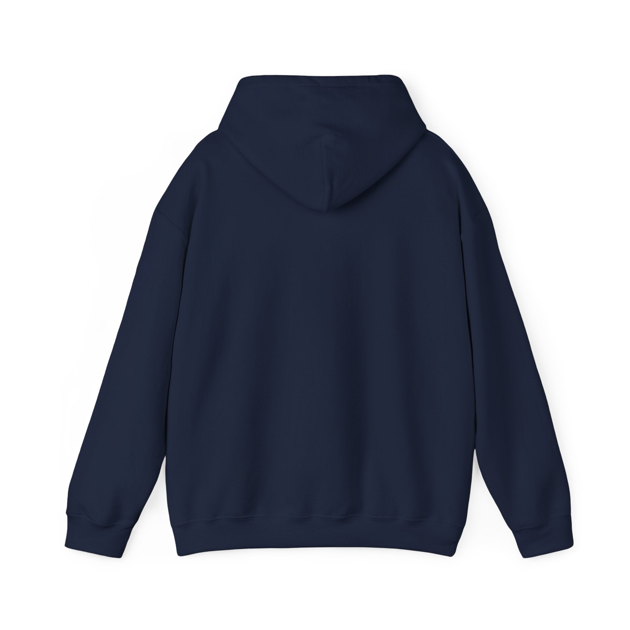 Piedmont Racing Hoodie 3 — Retro Blue Motorsport Pullover