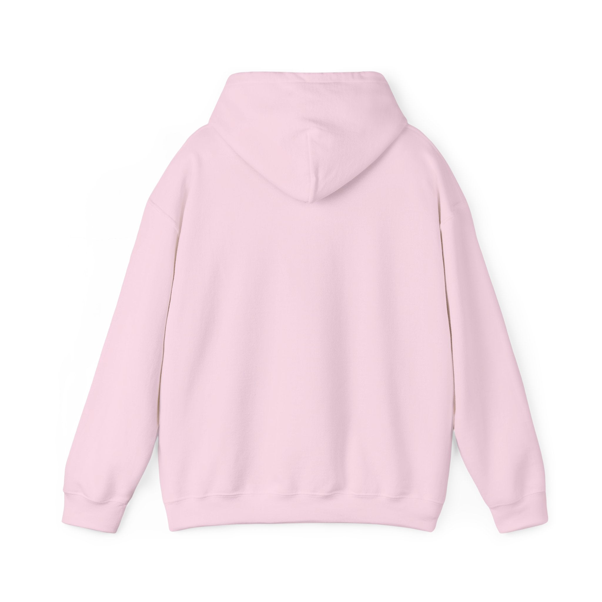 Piedmont Racing Hoodie 3 — Retro Blue Motorsport Pullover