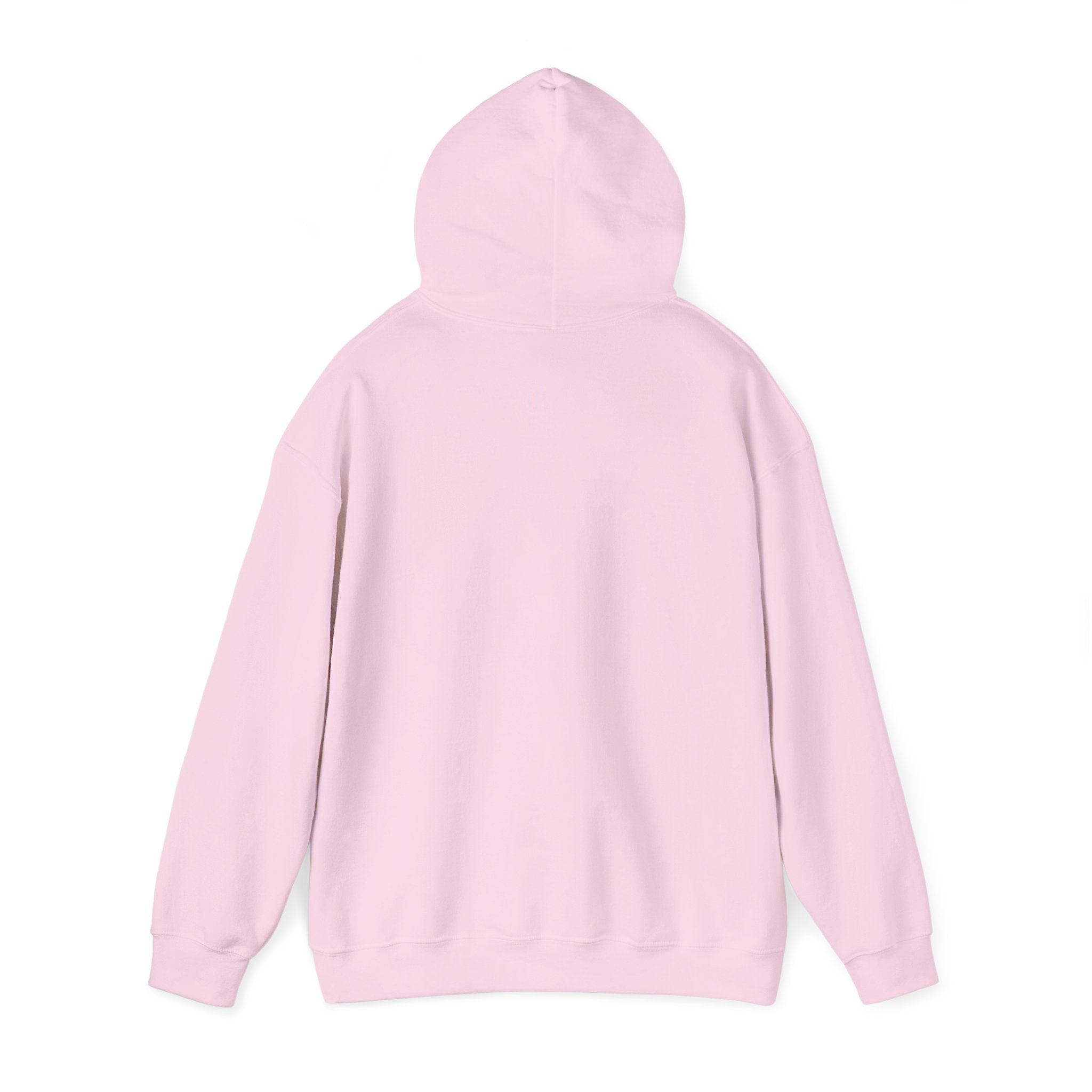 Piedmont Racing Hoodie 3 — Retro Blue Motorsport Pullover