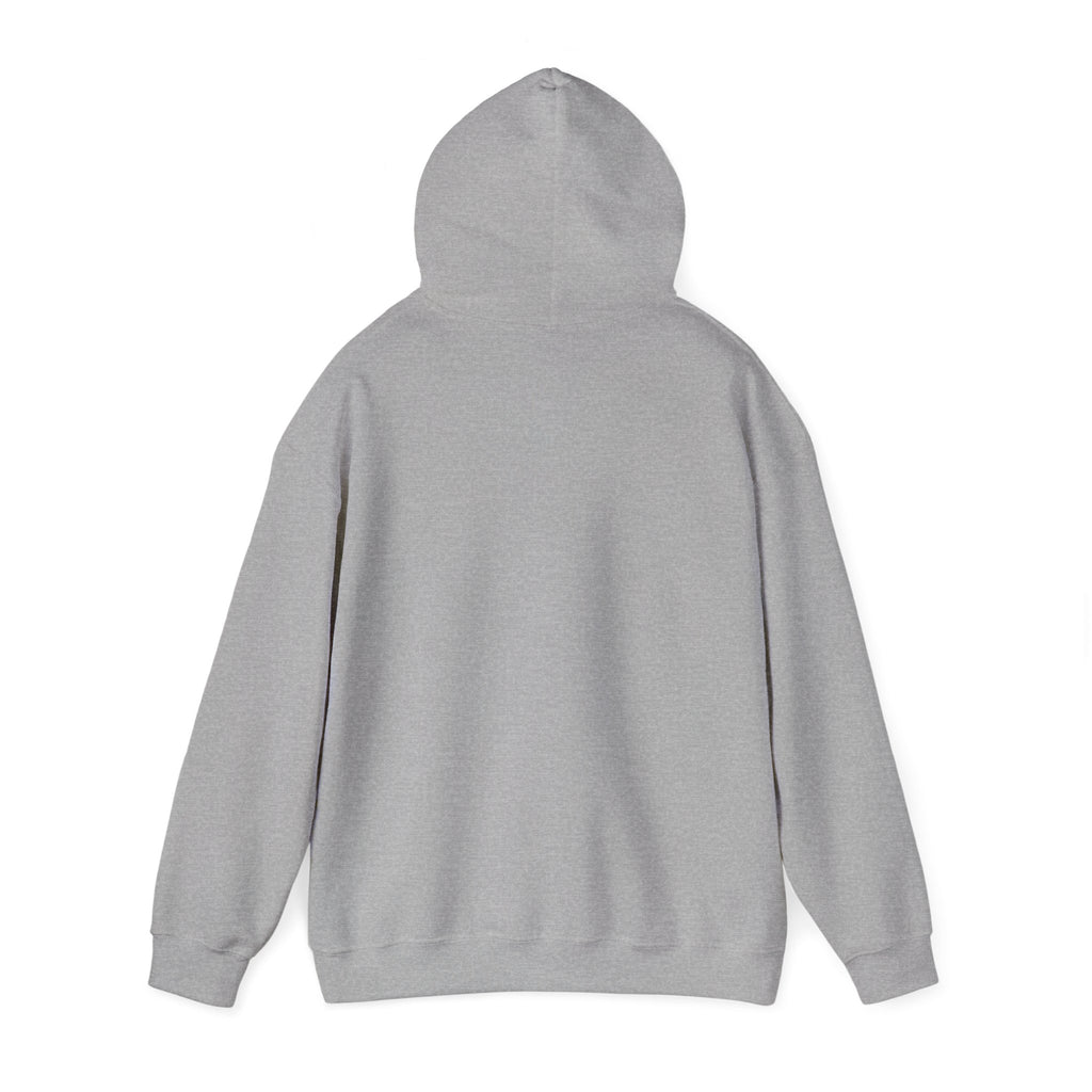 Piedmont Racing Hoodie 3 — Retro Blue Motorsport Pullover