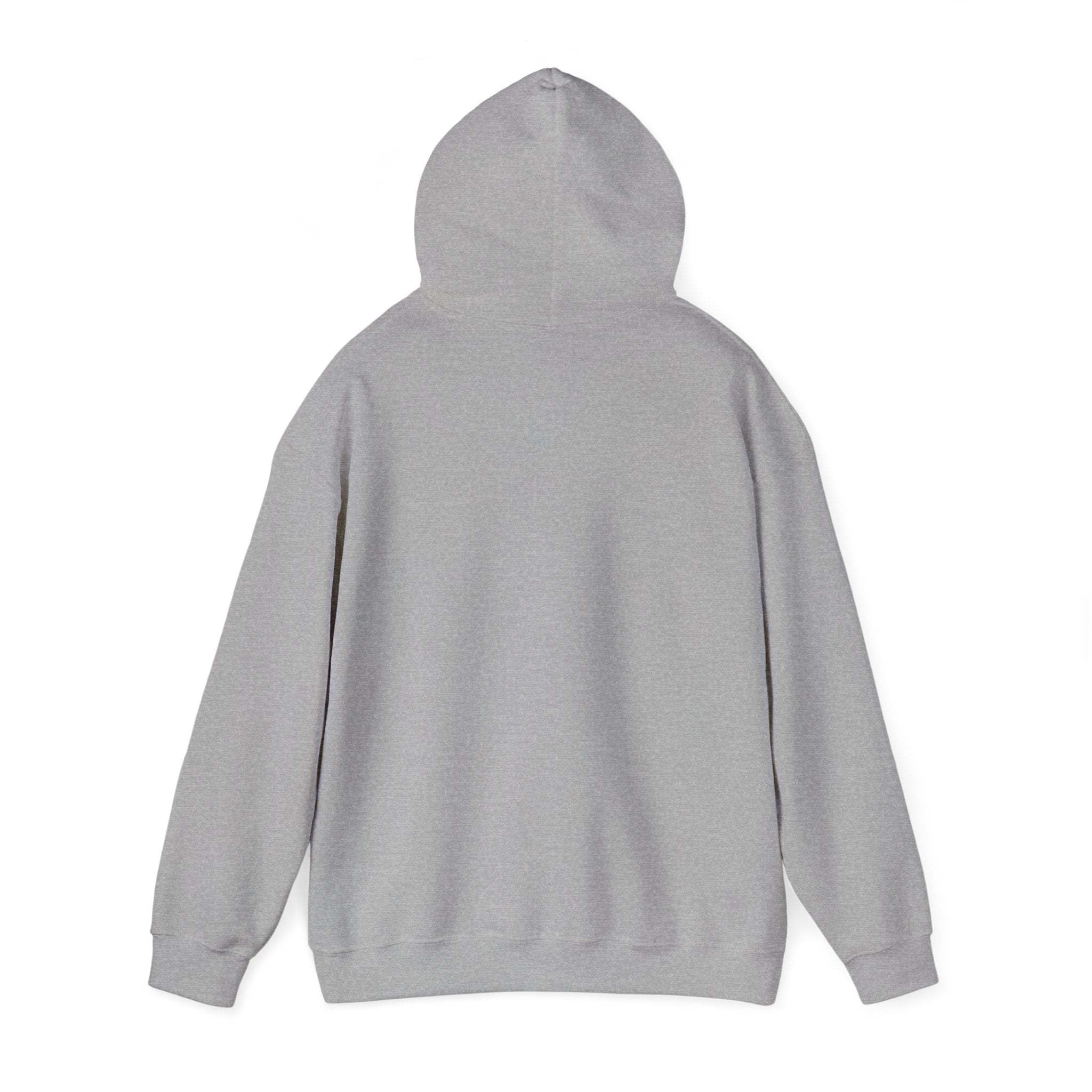 Piedmont Racing Hoodie 3 — Retro Blue Motorsport Pullover