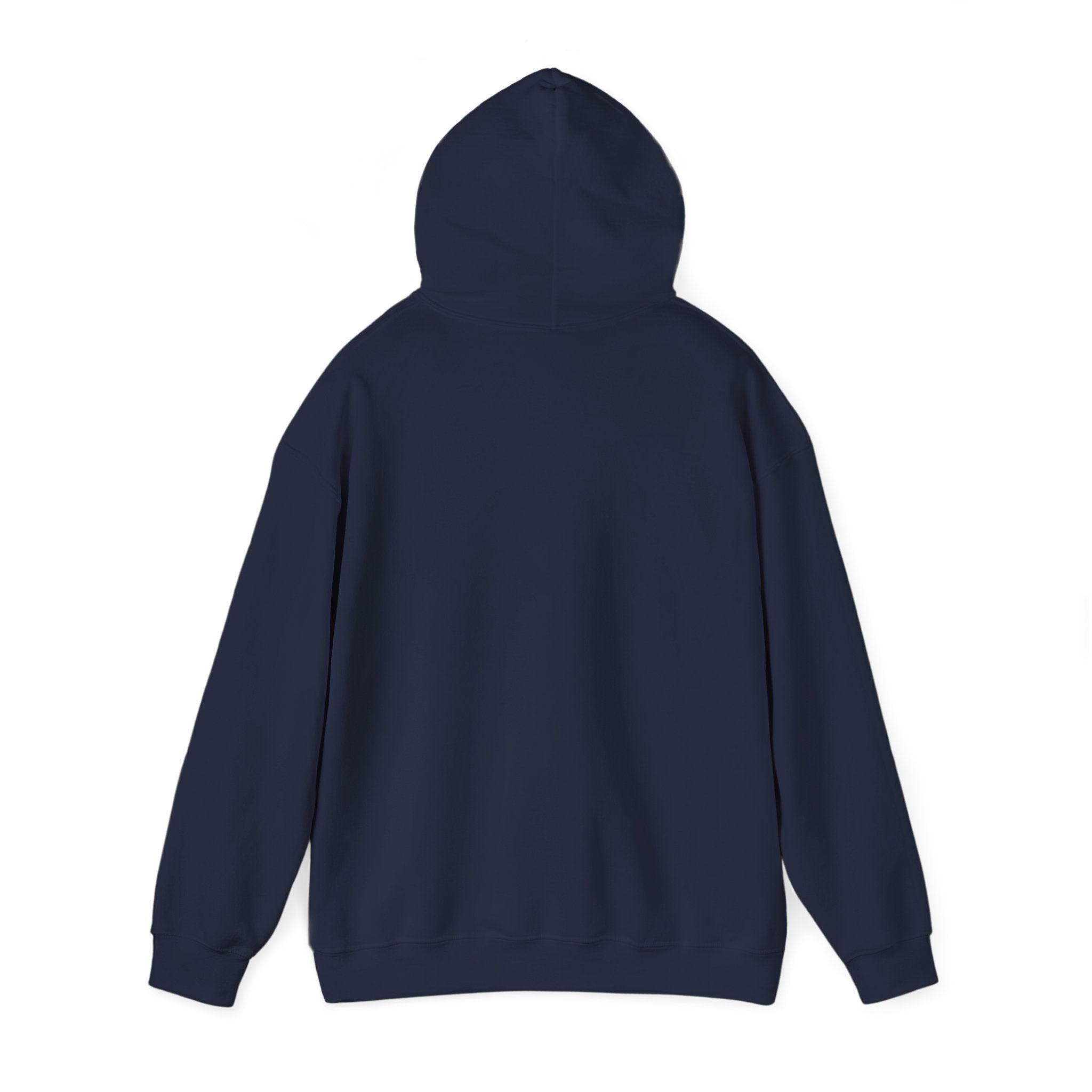 Piedmont Racing Hoodie 3 — Retro Blue Motorsport Pullover