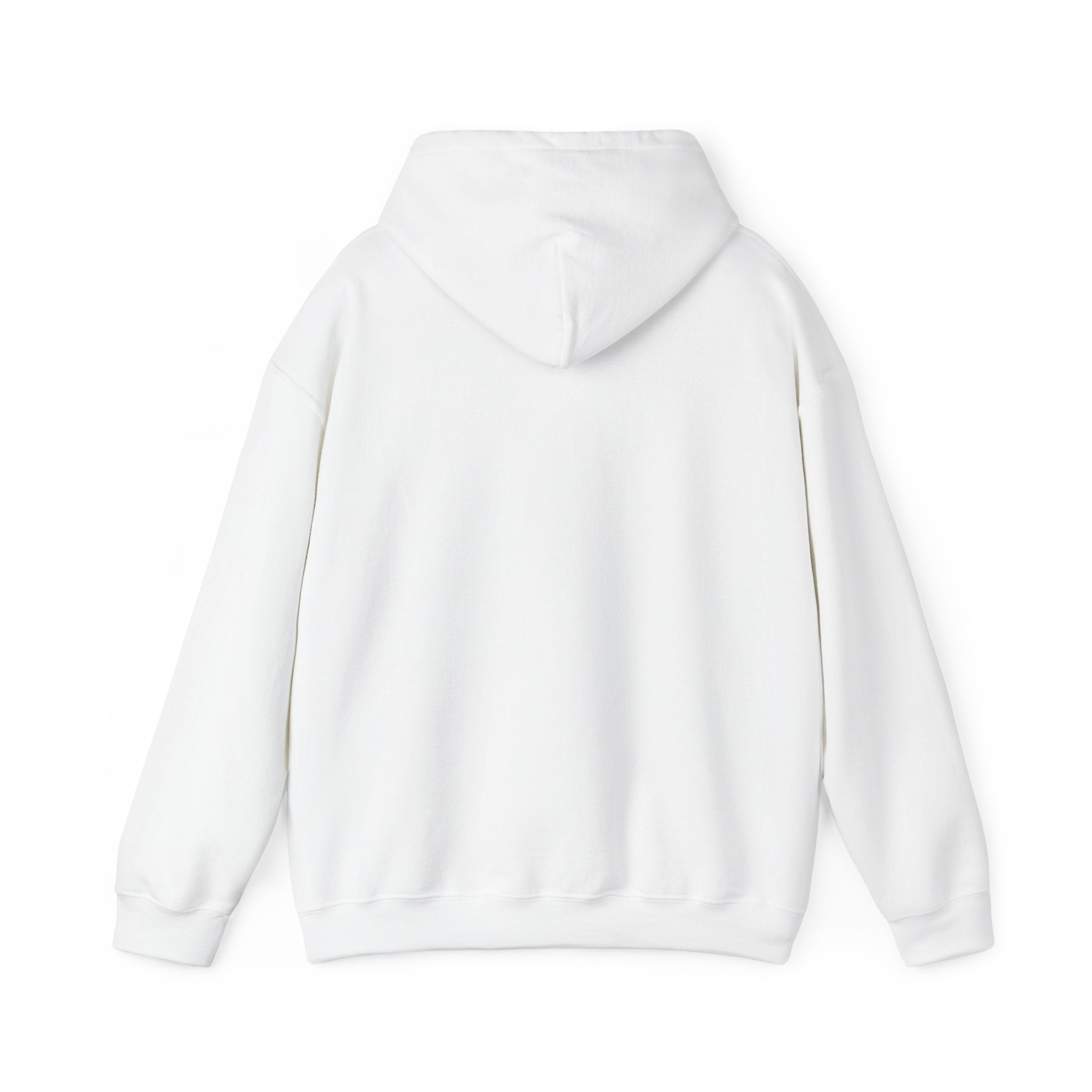 Piedmont Racing Hoodie 3 — Retro Blue Motorsport Pullover