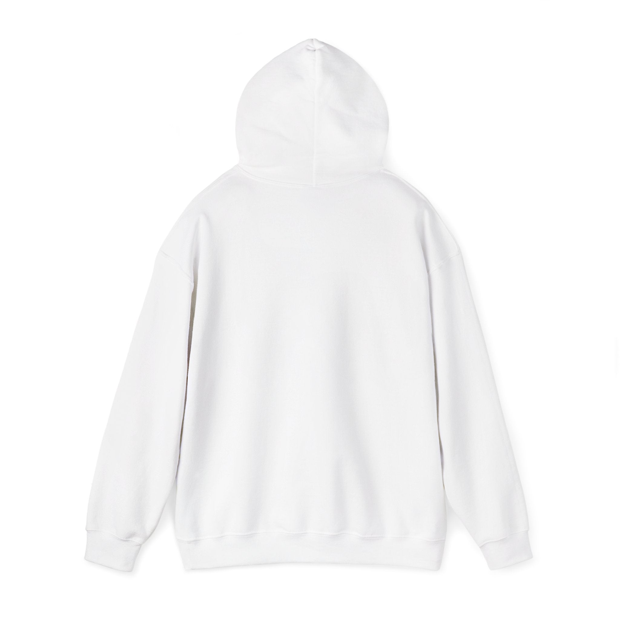 Piedmont Racing Hoodie 3 — Retro Blue Motorsport Pullover