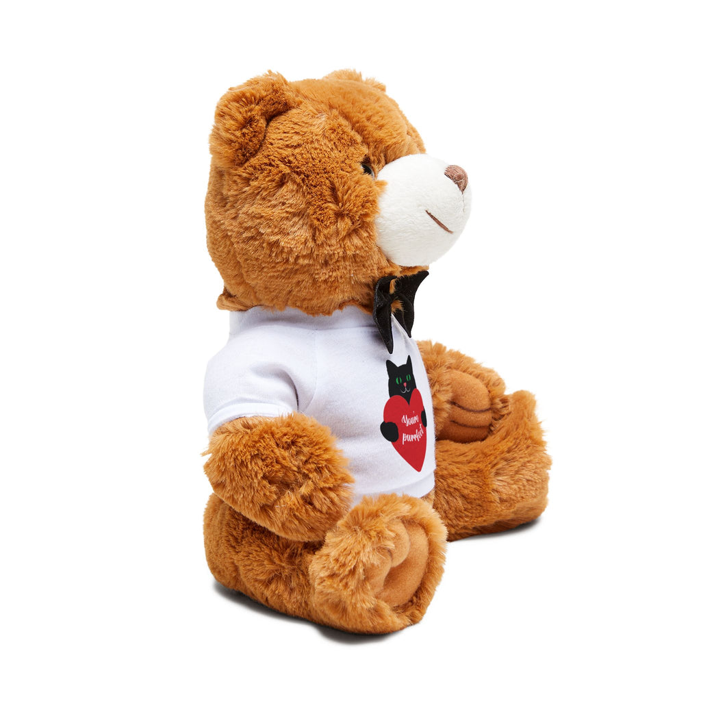 Cat Purrrrfect Valentine's Heart Teddy Bear – Plush Gift with T-Shirt